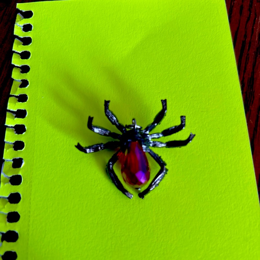 Spider Brooch with Red Gemstone